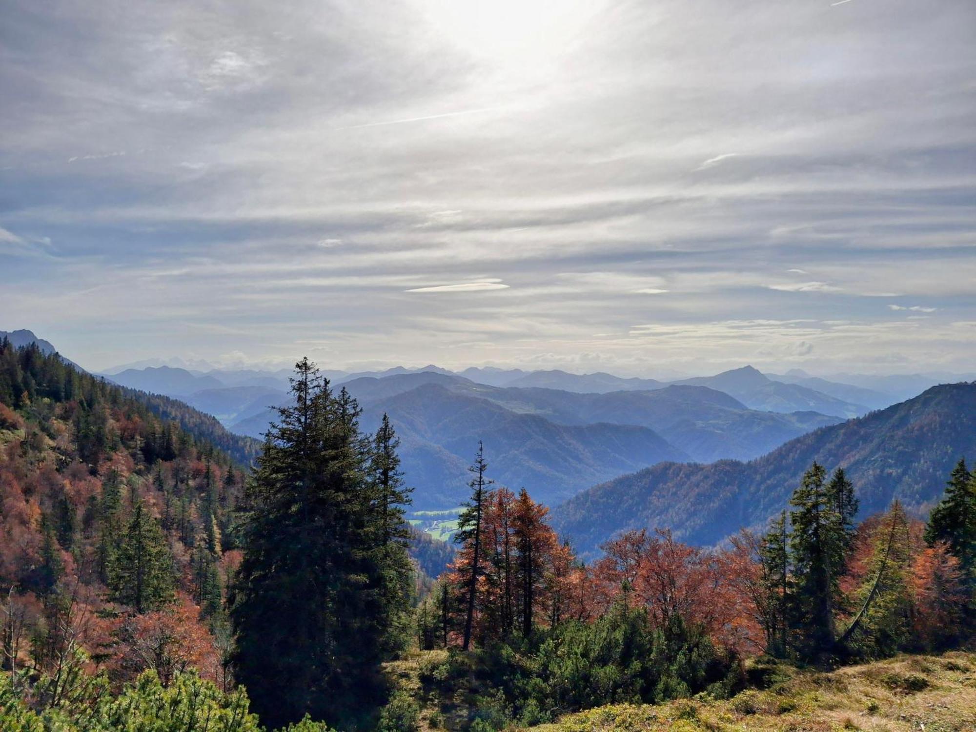 Вилла Lampererhof Санкт-Йоганн Экстерьер фото